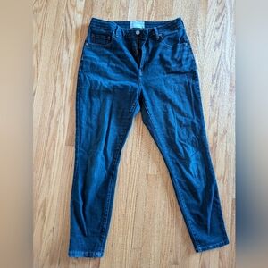 EVERLANE - Hourglass High Rise dark wash Skinny Jean Sz 31